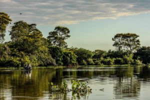 Pantanal ainda não voltou ao normal