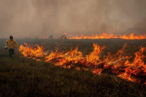 Registro de incêndios florestais é o maior em 18 anos