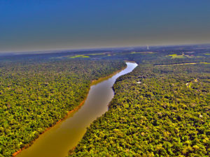 Projetos de três portos acende sinal de alerta no Pantanal