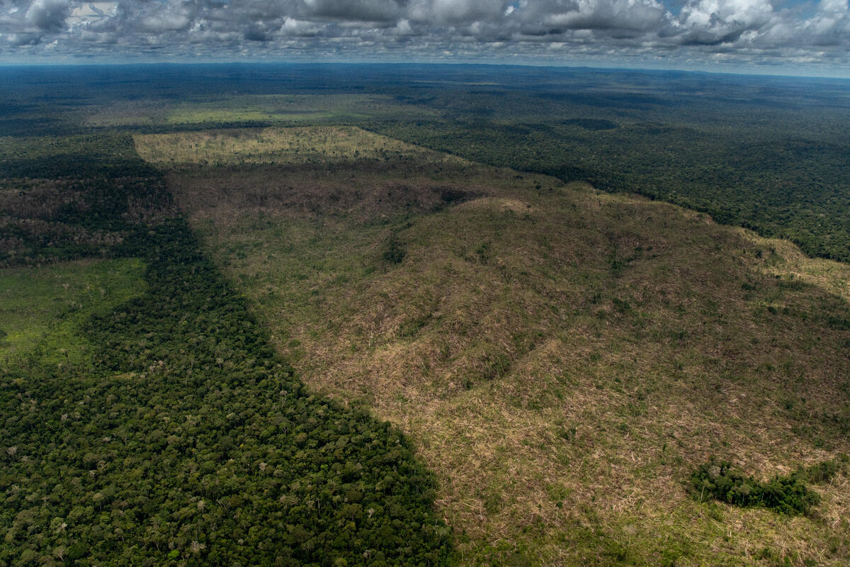 Integração de dados sobre ordenamento e ocupação territorial é a chave para proteger a Amazônia