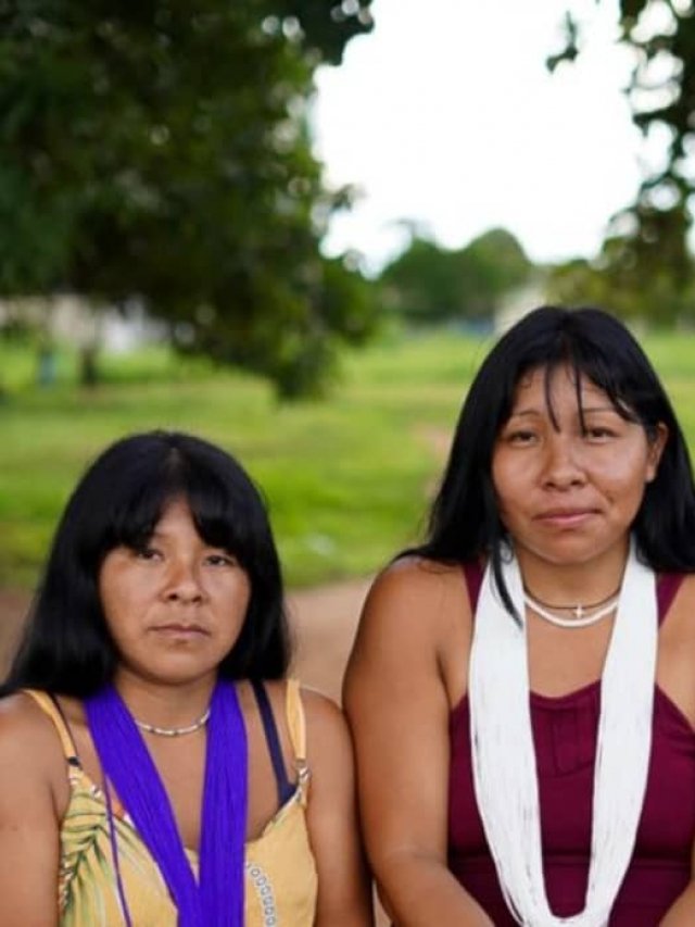 Rede de Sementes do Xingu: pessoas que plantam florestas