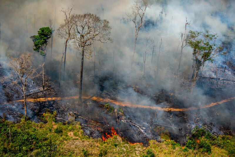Deforestation in the Amazon in the month of July increases by 160% during the past three years of the Bolsonaro administration