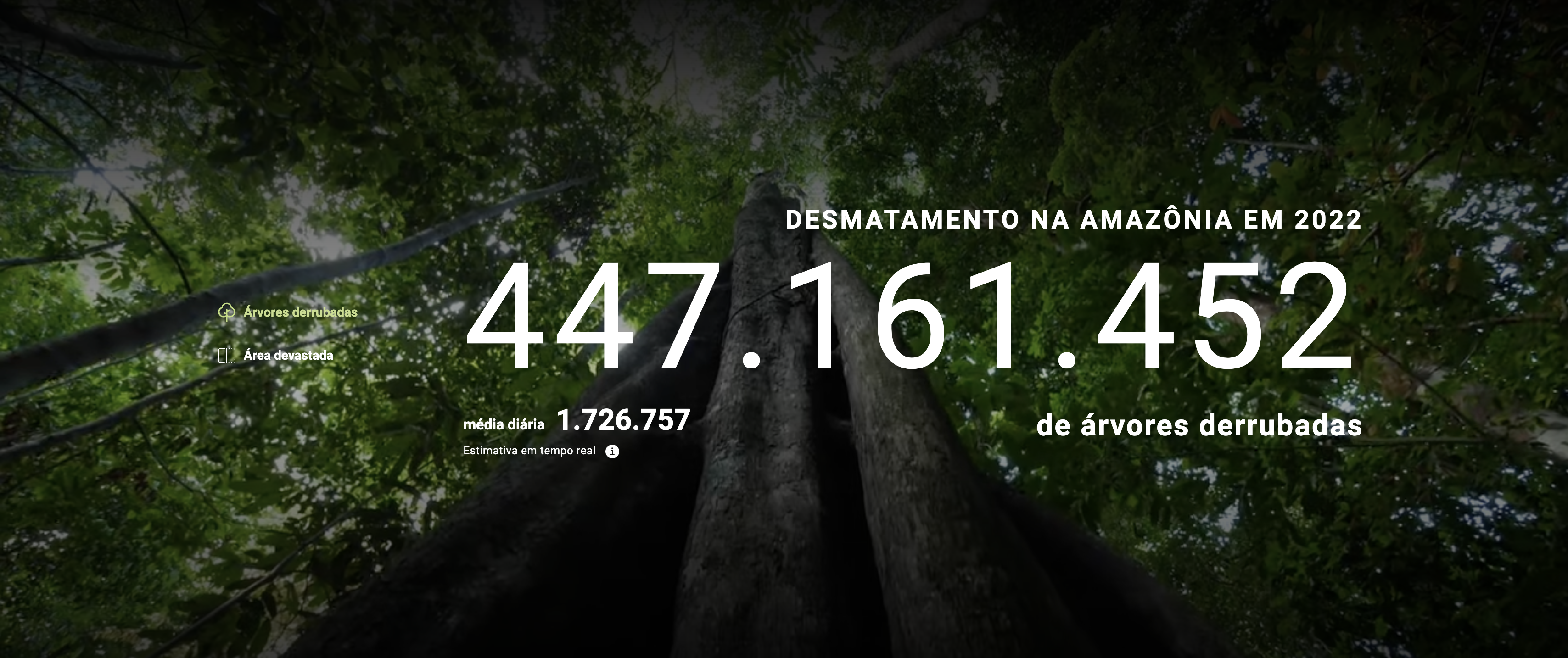 3 mil árvores cortadas na Amazônia só durante debate na Globo? Entenda o dado citado por Simone Tebet