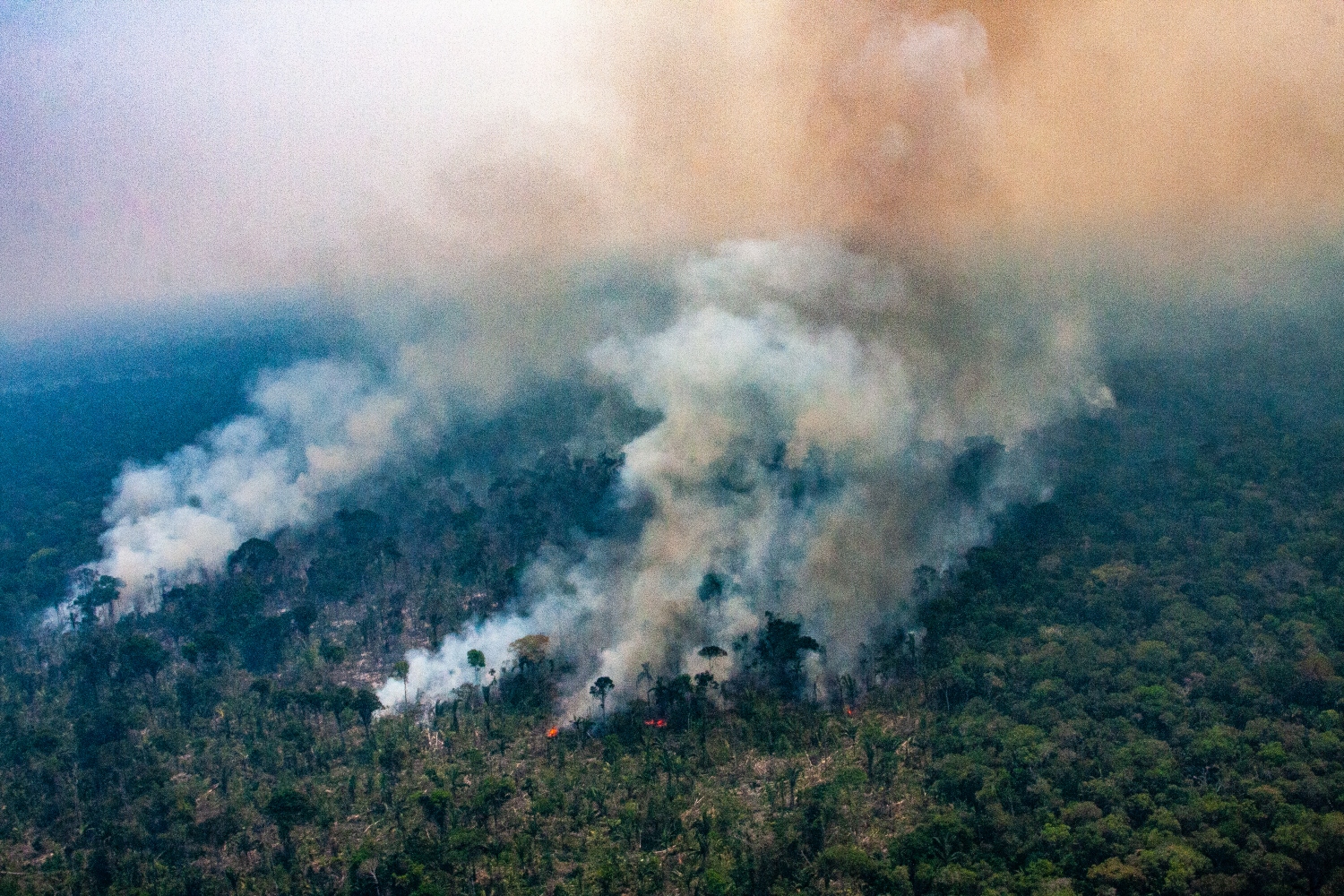 Às vésperas das eleições, Amazônia tem recorde de desmatamento e de queimadas