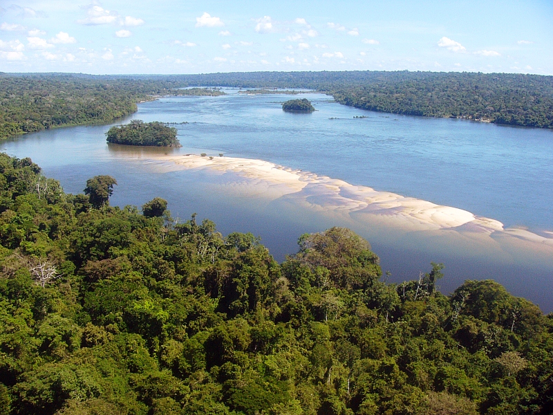 Áreas protegidas absorvem 27% das emissões de gases do efeito estufa na Amazônia