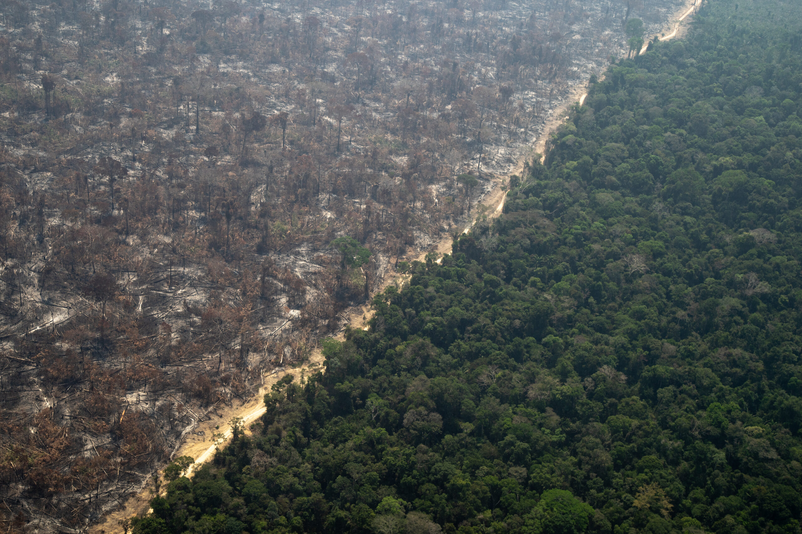 Desmatamento na Amazônia cai 11% em 2022, mas índice é o segundo pior dos últimos 14 anos