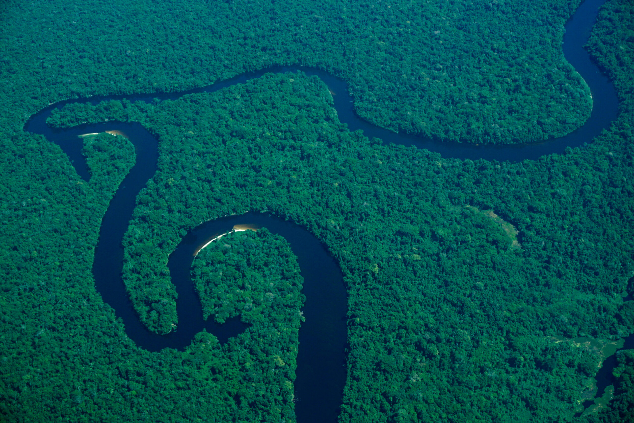 Amazônia tem 10% da biodiversidade do planeta e é peça-chave para garantia de metas da COP15