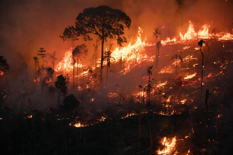 Brasil em chamas: Queimadas consomem área equivalente ao Acre em 2022 