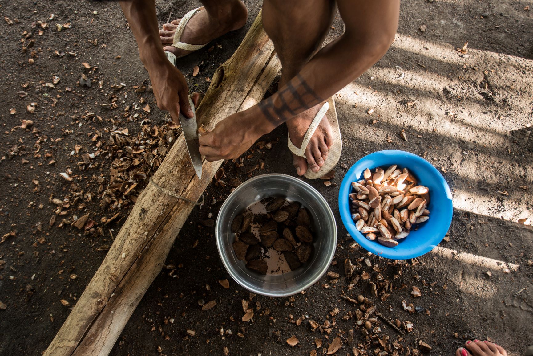 Bioeconomia na Amazônia: projetos precisam levar em conta a diversidade da região e empoderar produtores locais