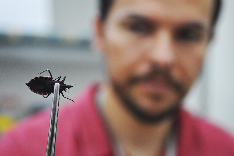 <strong>Doença de Chagas: Povos Indígenas da Amazônia têm proteção genética</strong>