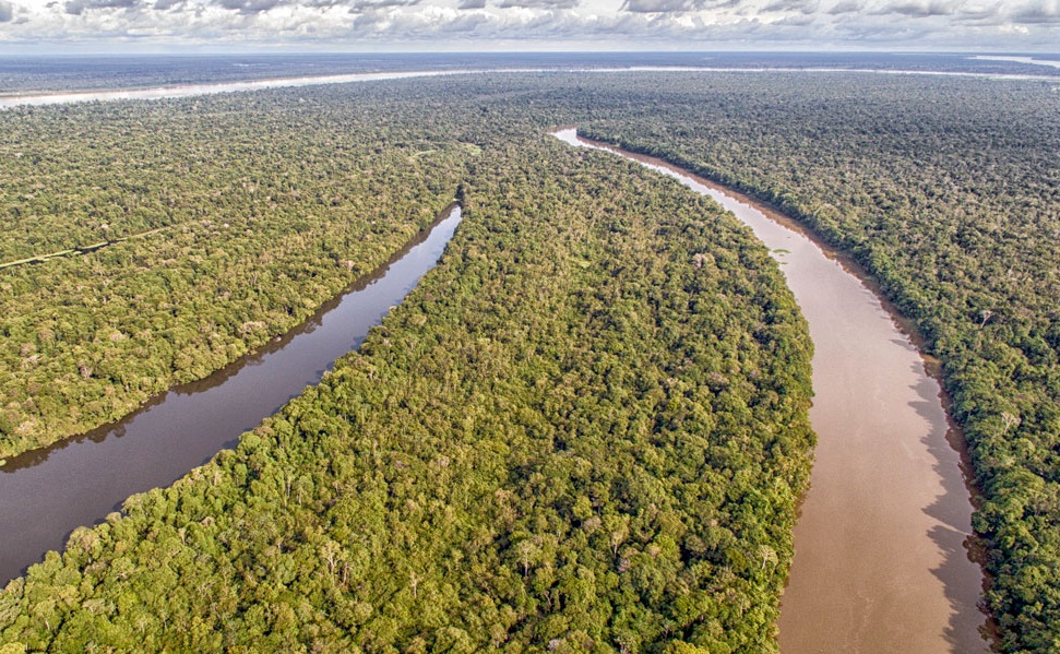 Áreas de conservação no combate ao desmatamento na Amazônia