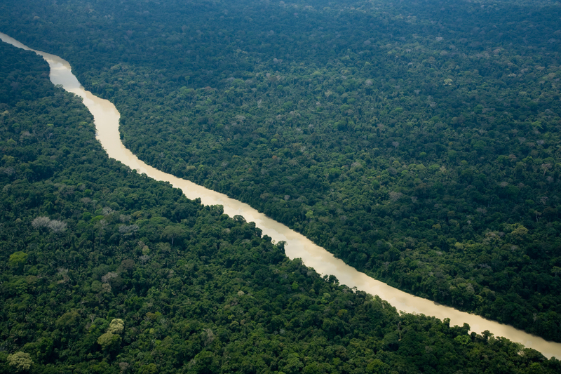Os caminhos da bioeconomia para o desenvolvimento da Amazônia
