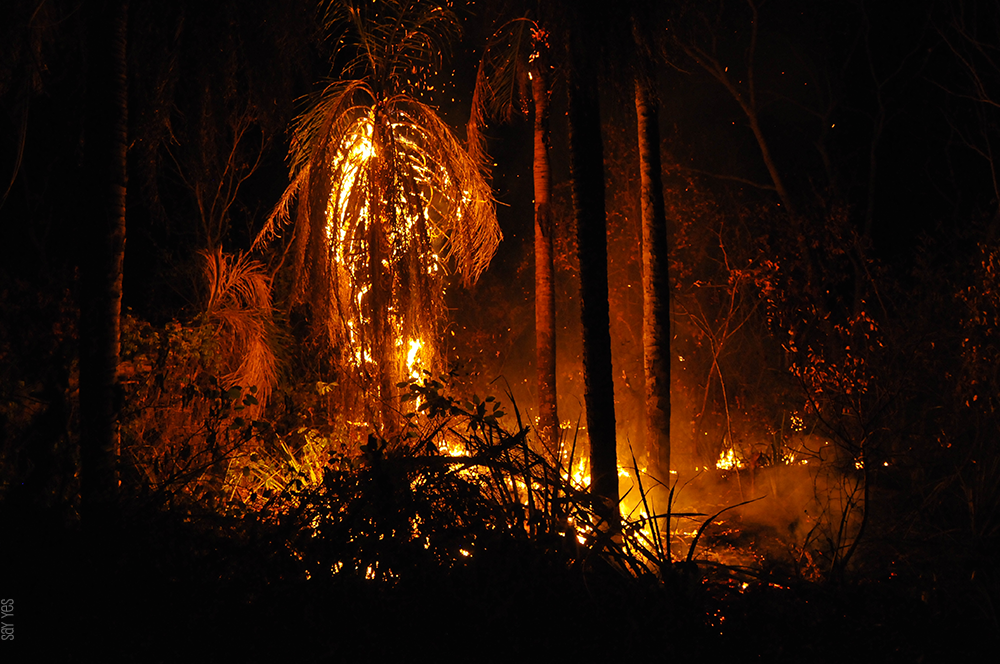 Governança frágil é obstáculo no combate a incêndios na Amazônia