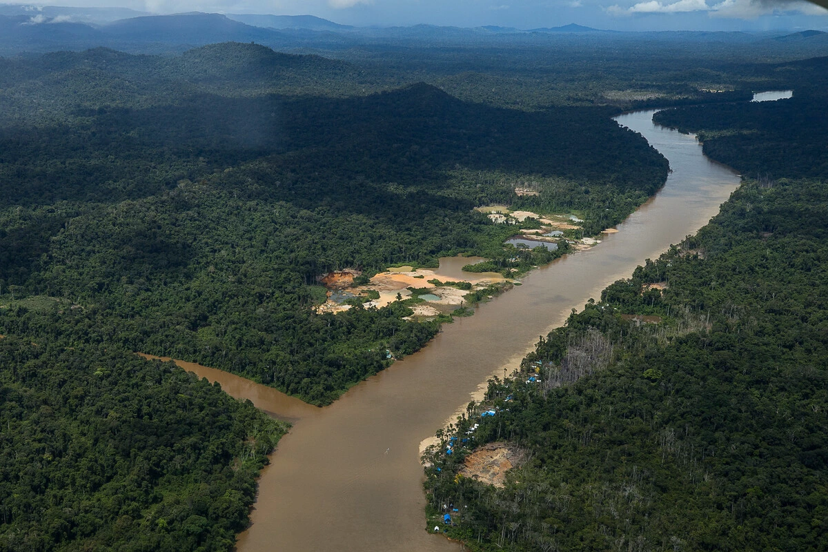 Alertas de garimpos diminuem, mas ocupação ilegal segue na Terra Yanomami, diz o IBAMA