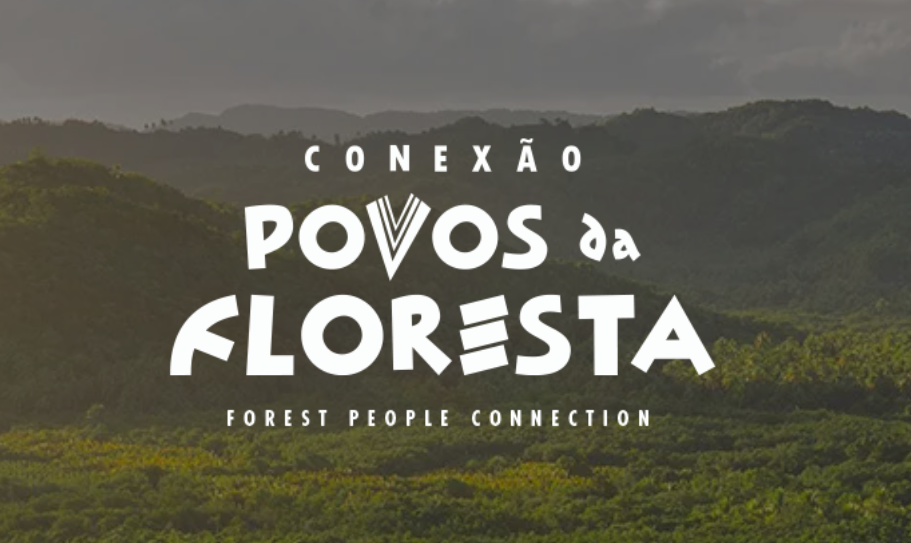 Conectividade e capacitação para desenvolver a bioeconomia amazônica