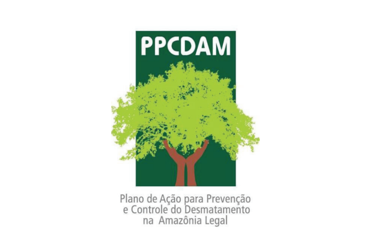 Plano de controle do desmatamento amazônico entra em consulta pública