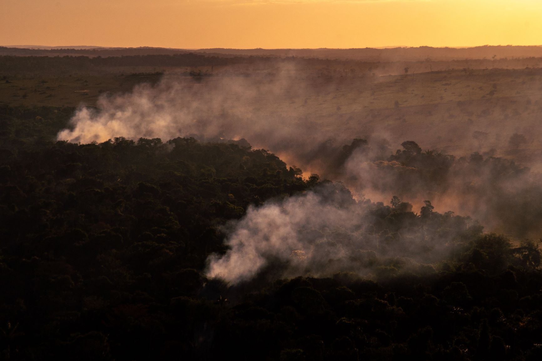 PPCDAm: novo plano contra desmatamento tem tecnologias para prever devastação e bioeconomia para desenvolver Amazônia