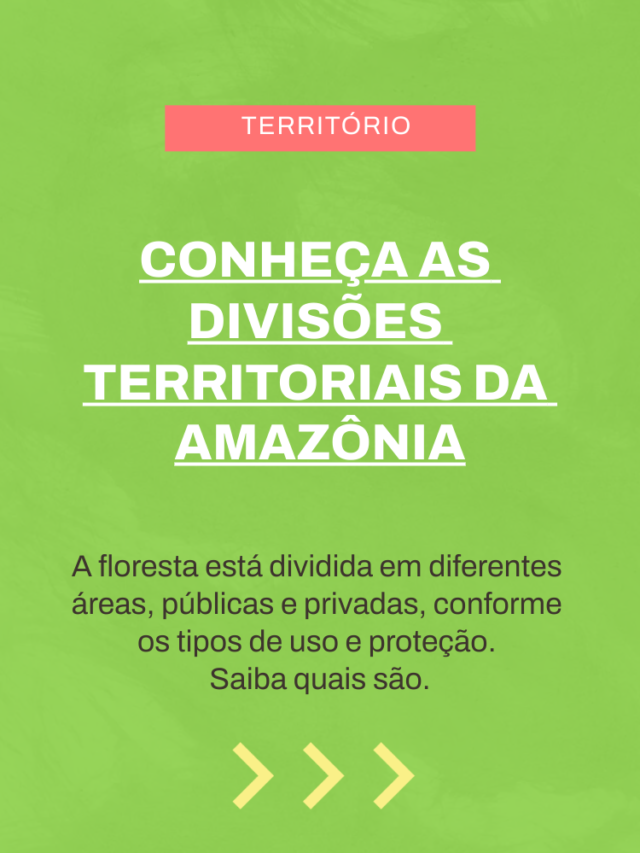 Conheça as divisões territoriais da Amazônia