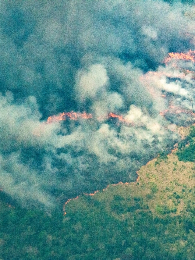 38% of the Amazon already suffers from degradation