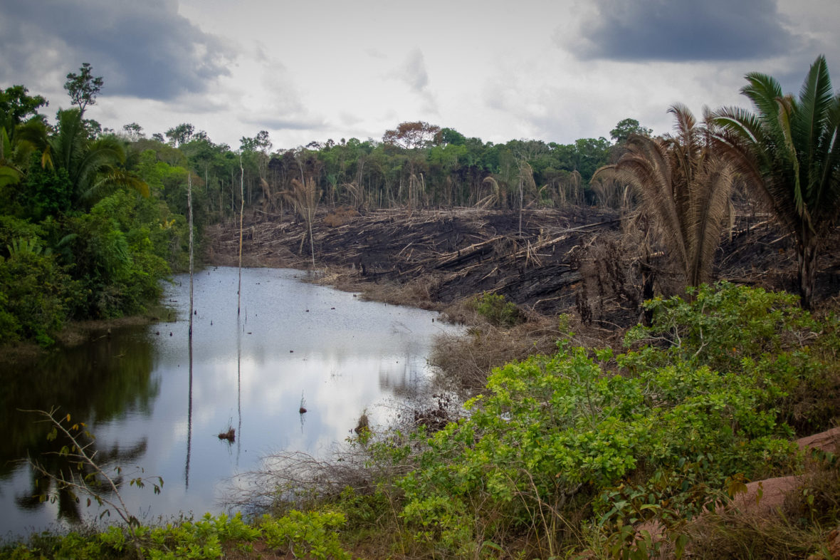 Arranca la cumbre para evitar el colapso de la Amazonia