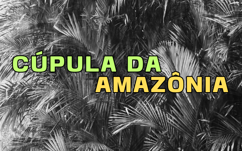 A importância e os vazios da Cúpula da Amazônia