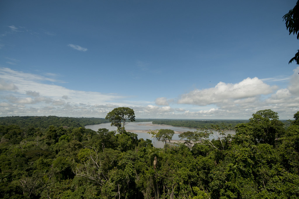 Equatorianos fazem história e banem petróleo em região da Amazônia