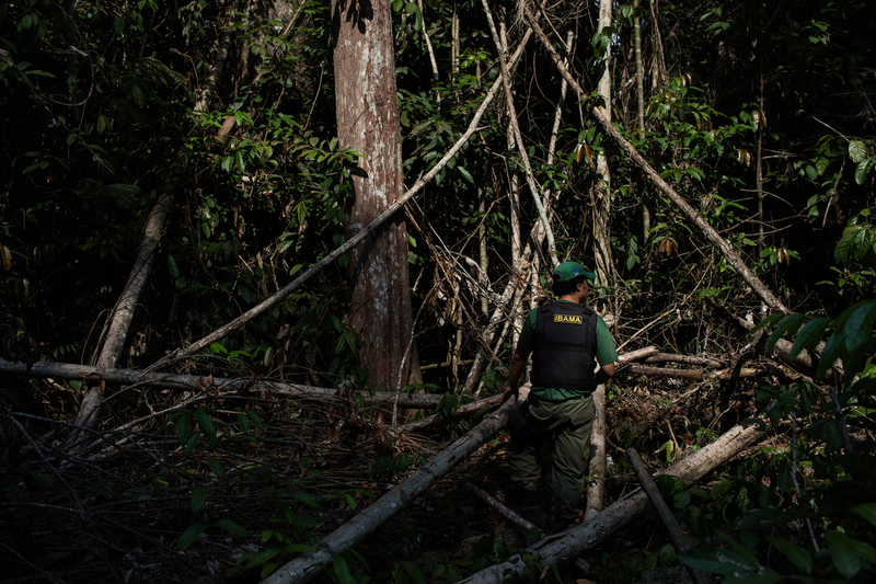 A urgência do plano de segurança para a Amazônia