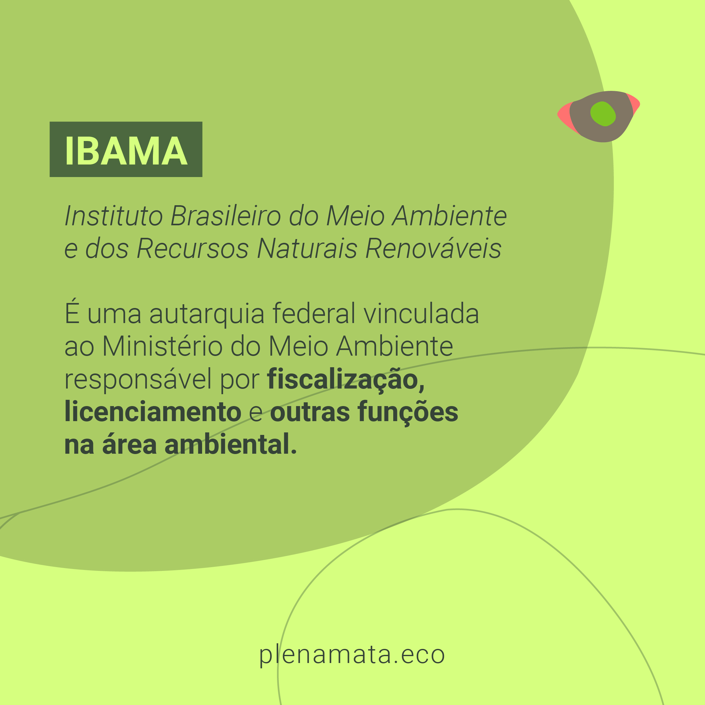 PlenaMata_Toolkit2-Feed_Órgãos ambientais_card 1 (1)