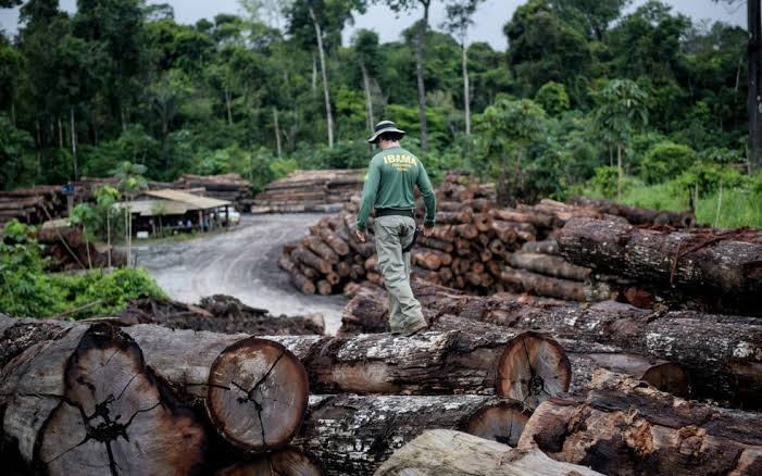 Avança plano de segurança para a Amazônia