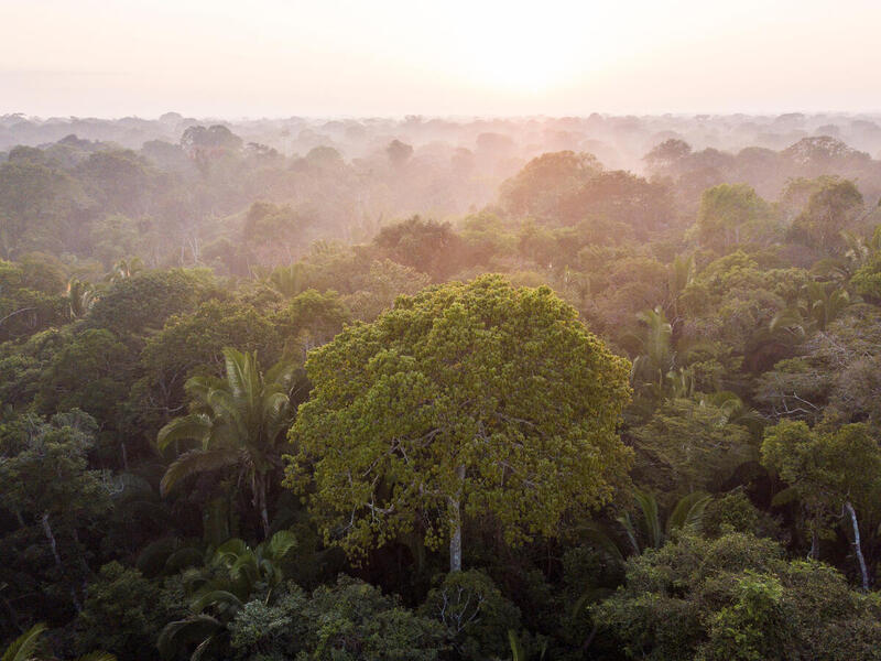 Santuários amazônicos mais protegidos