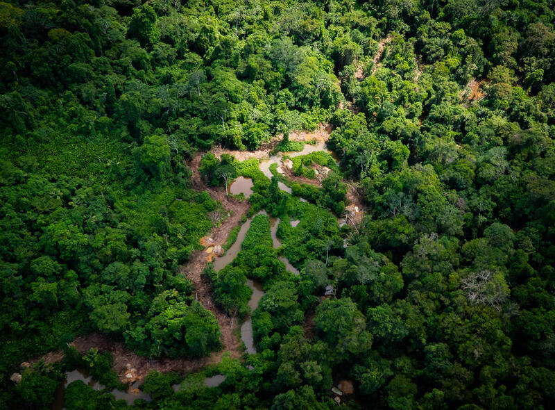 Nova tentativa de livrar a TI Yanomami do garimpo ilegal