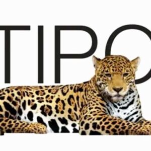 Logo Perusahaan Multipolar Technology - Lowongan Kerja Application Developer