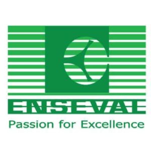 Logo Perusahaan Enseval Putera Megatrading Tbk - Lowongan Kerja Data Analyst