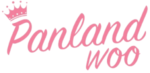 Logo Perusahaan Panlandwoo Aksesoris Indonesia - Lowongan Kerja Host Live