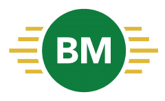 Logo Perusahaan Bukitmega Masabadi - Lowongan Kerja Warehouse Lead