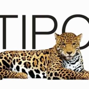 Logo Perusahaan Multipolar Technology - Lowongan Kerja People Development